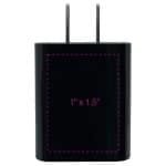 Custom iPort Wall Charger - 4