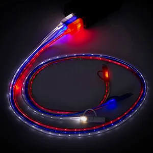 Custom "Payson" 3-in-1 LED Lighted Cell Phone Charging Cable w/Type C Adapter