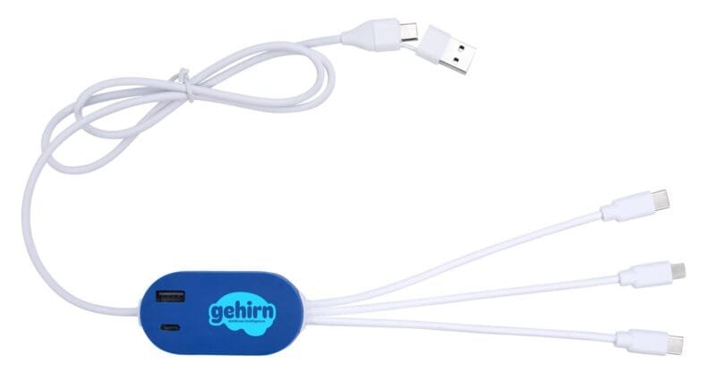 Custom Good Value™ DualLink Charging Cable 2A with USB Hub