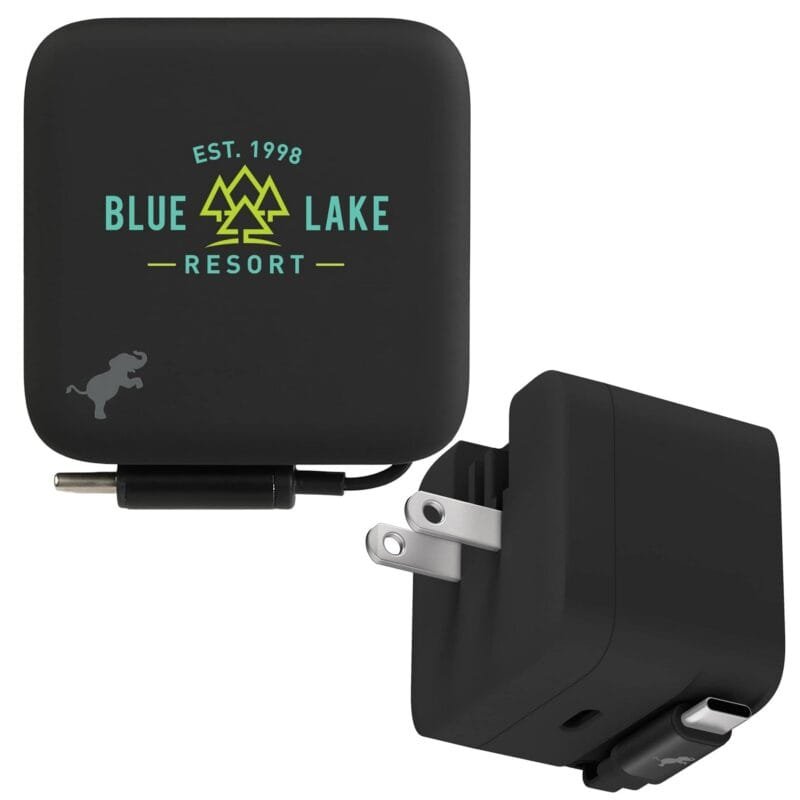 Custom Wally Stretch 35 Wall Charger with cable - 3