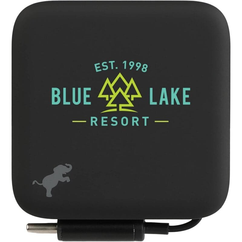 Custom Wally Stretch 35 Wall Charger with cable