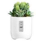 Custom iHome Faux Succulent with USB Charging Station