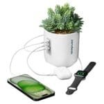 Custom iHome Faux Succulent with USB Charging Station - 3