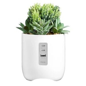 Custom iHome Faux Succulent with USB Charging Station