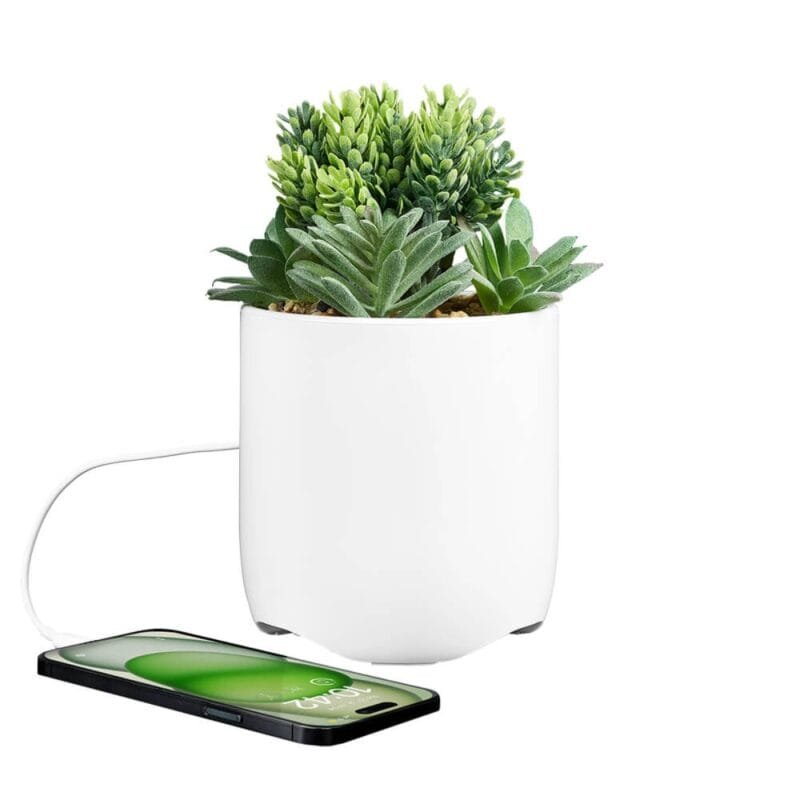 Custom iHome Faux Succulent with USB Charging Station - 5