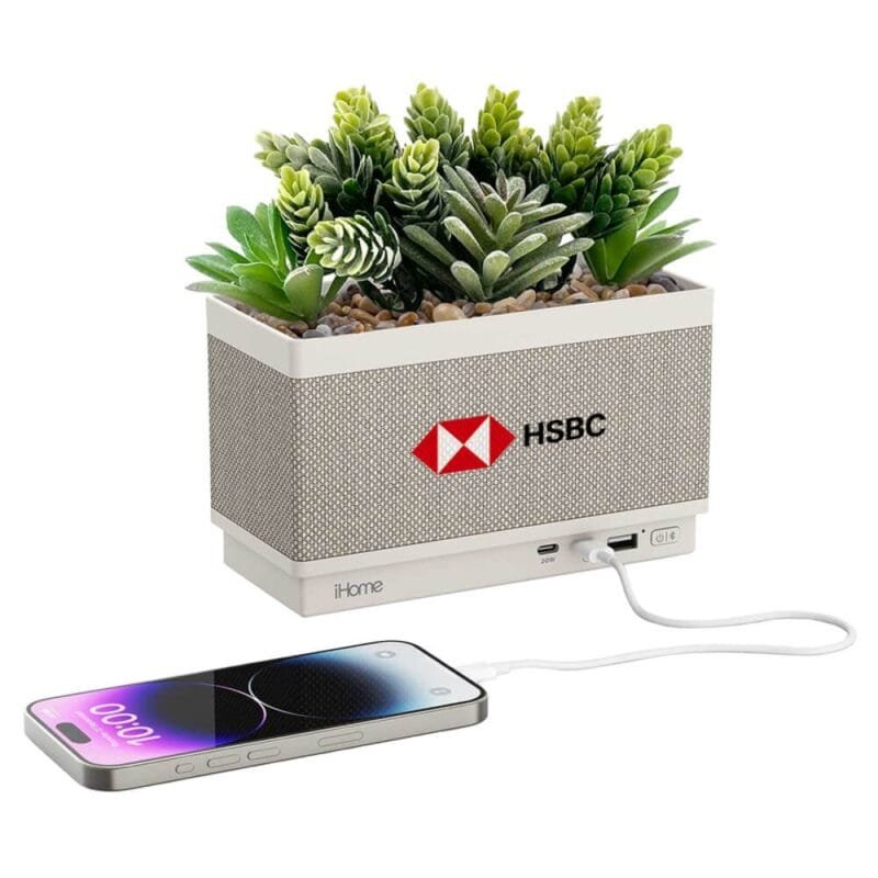 Custom iHome Powerplant Speaker and Charger - 2