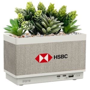 Custom iHome Powerplant Speaker and Charger