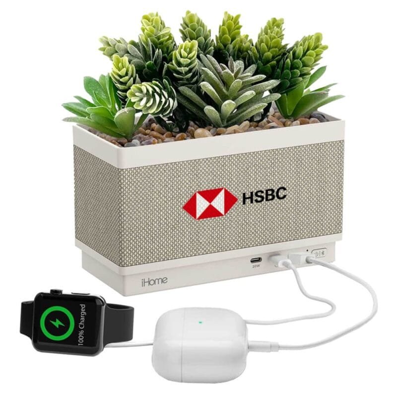 Custom iHome Powerplant Speaker and Charger - 4