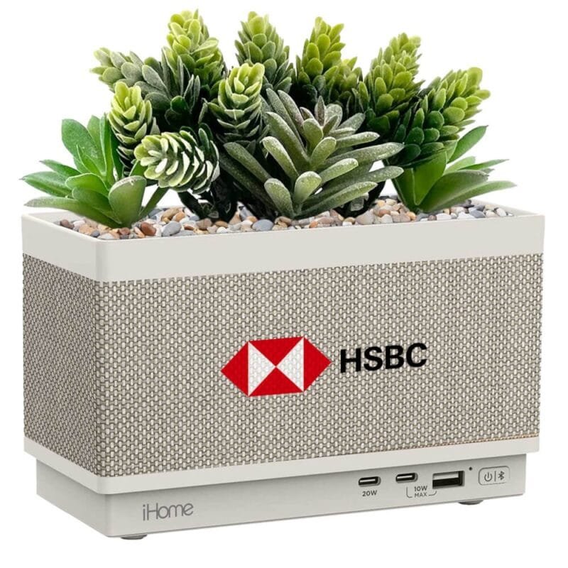 Custom iHome Powerplant Speaker and Charger