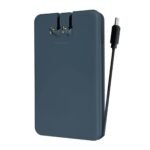 Custom myCharge AMP Prong 10