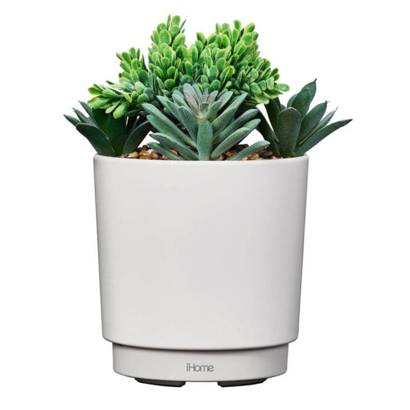 Faux Succulent with USB Charger (iPP35)