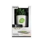 Faux Succulent with USB Charger (iPP35) - 1