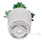 Faux Succulent with USB Charger (iPP35) - 2