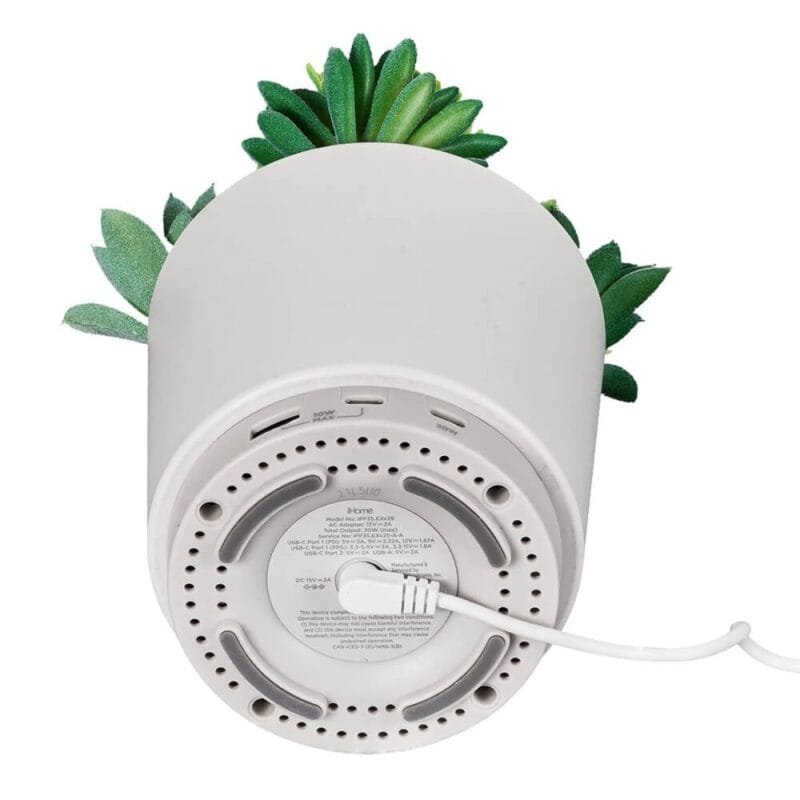 Faux Succulent with USB Charger (iPP35) - 2