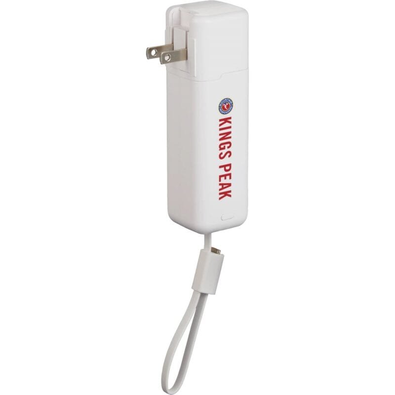 Custom ETL Listed 5000 mAh 20W PD Power Bank with AC Plug - 2