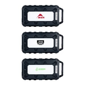 Custom Lion Energy Cub 10000 mAh Powerbank