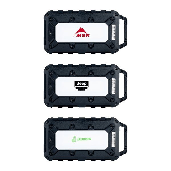 Custom Lion Energy Cub 10000 mAh Powerbank